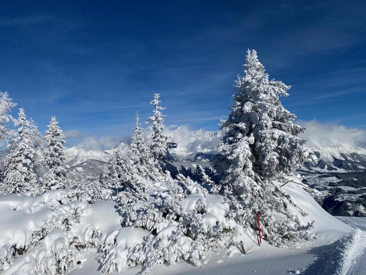 Chalet Reiteralm- Ski Inski Out Шладминг Экстерьер фото