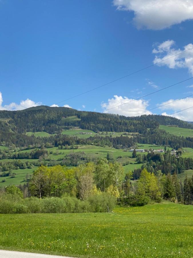 Chalet Reiteralm- Mit Sommercard Шладминг Экстерьер фото