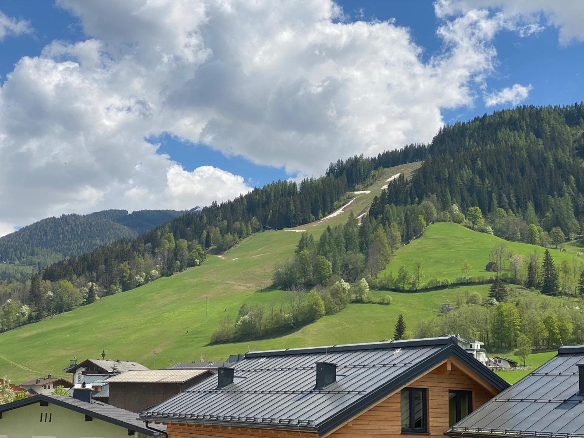 Chalet Reiteralm- Mit Sommercard Шладминг Экстерьер фото